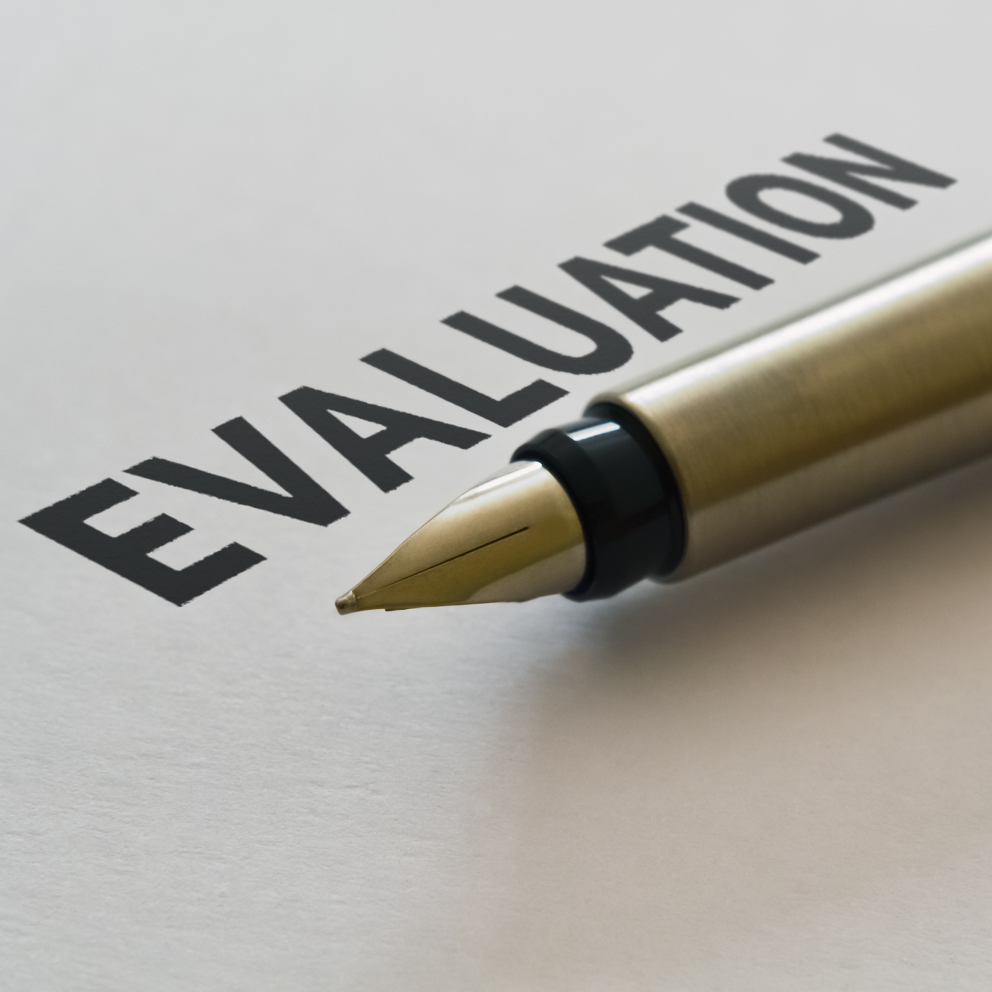 Program and Service Evaluation