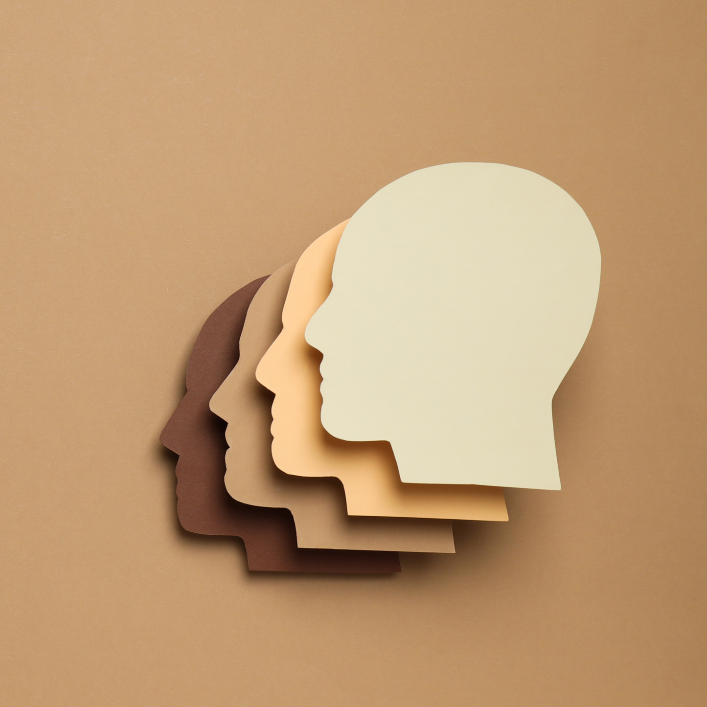 Equity, Diversity, and Inclusion (EDI)